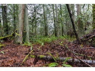 photo for a land for sale property for 46037-22539-Poulsbo-Washington