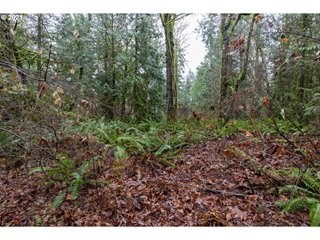 photo for a land for sale property for 46037-22607-Poulsbo-Washington