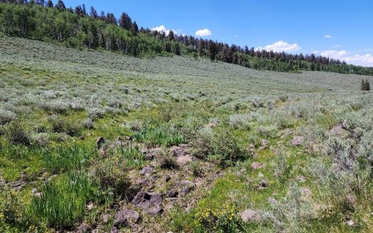photo for a land for sale property for 05071-23079-Powderhorn-Colorado
