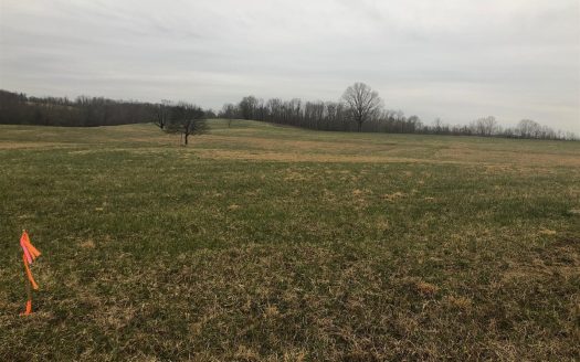 photo for a land for sale property for 41061-18927-Primm Springs-Tennessee