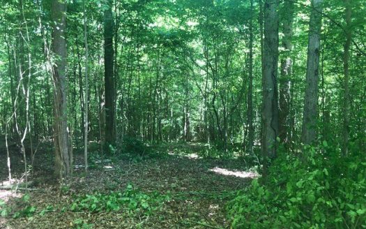 photo for a land for sale property for 41061-21744-Primm Springs-Tennessee