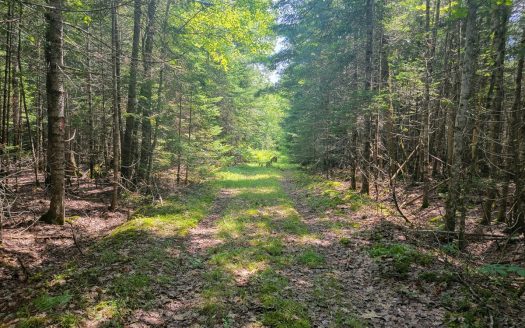 photo for a land for sale property for 18015-10228-Princeton-Maine