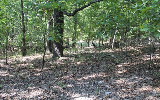 photo for a land for sale property for 24084-65540-Protem-Missouri