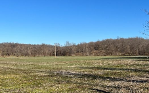 photo for a land for sale property for 24192-02703-Puxico-Missouri