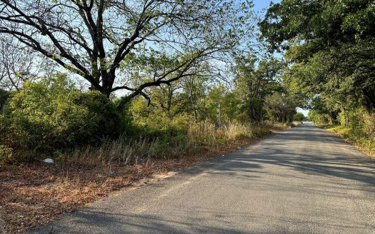 photo for a land for sale property for 42165-53897-Ranger-Texas