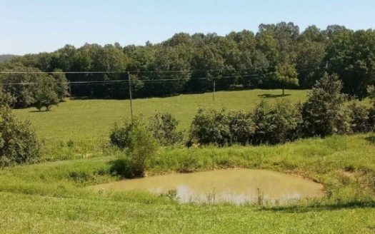 photo for a land for sale property for 03065-30480-Ravenden-Arkansas