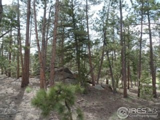 photo for a land for sale property for 05079-11017-Red Feather Lakes-Colorado