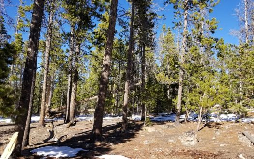 photo for a land for sale property for 05079-11291-Red Feather Lakes-Colorado