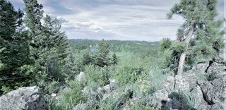 photo for a land for sale property for 05079-11294-Red Feather Lakes-Colorado