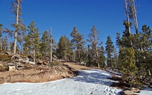 photo for a land for sale property for 05079-11438-Red Feather Lakes-Colorado