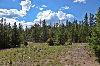 photo for a land for sale property for 05079-11469-Red Feather Lakes-Colorado
