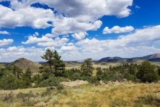 photo for a land for sale property for 05079-11481-Red Feather Lakes-Colorado