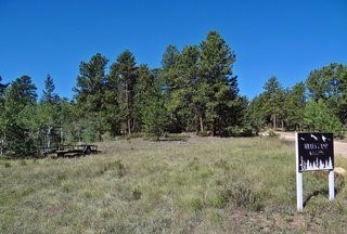 photo for a land for sale property for 05079-11482-Red Feather Lakes-Colorado