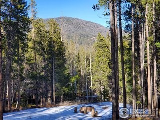 photo for a land for sale property for 05079-11490-Red Feather Lakes-Colorado