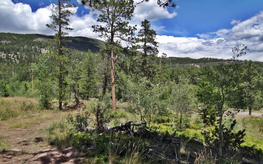 photo for a land for sale property for 05079-11532-Red Feather Lakes-Colorado