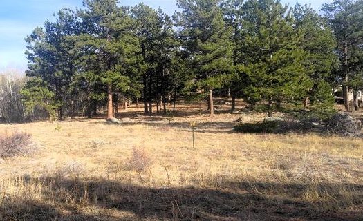 photo for a land for sale property for 05079-11555-Red Feather Lakes-Colorado