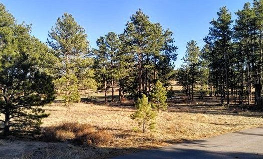 photo for a land for sale property for 05079-11556-Red Feather Lakes-Colorado