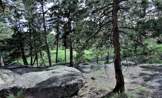photo for a land for sale property for 05079-11560-Red Feather Lakes-Colorado