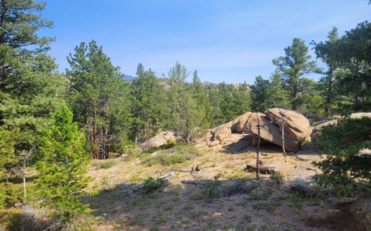 photo for a land for sale property for 05079-11562-Red Feather Lakes-Colorado