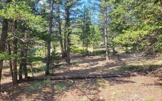 photo for a land for sale property for 05079-11563-Red Feather Lakes-Colorado