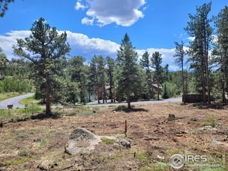 photo for a land for sale property for 05079-11470-Red Feather Lakes-Colorado