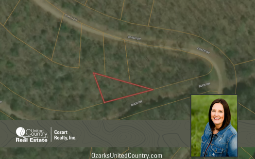 photo for a land for sale property for 24078-88380-Ridgedale-Missouri