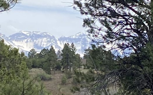 photo for a land for sale property for 05056-93425-Ridgway-Colorado