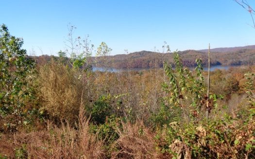 photo for a land for sale property for 41095-04456-Rockwood-Tennessee