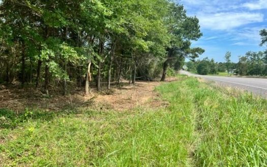 photo for a land for sale property for 42251-90210-Rocky Branch-Texas