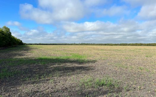 photo for a land for sale property for 42259-00200-Rogers-Texas