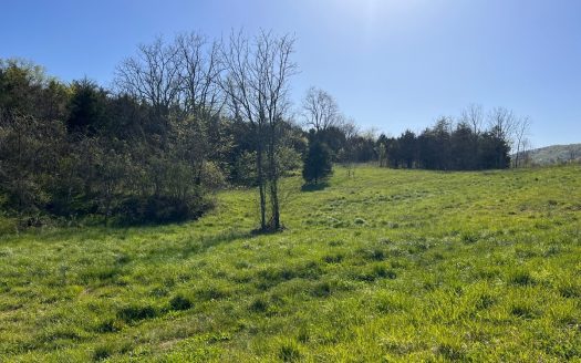 photo for a land for sale property for 41095-04368-Rogersville-Tennessee