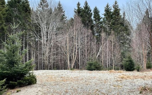 photo for a land for sale property for 18014-10140-Roque Bluffs-Maine