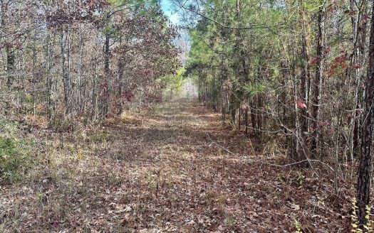 photo for a land for sale property for 23042-20511-Rosefield-Louisiana