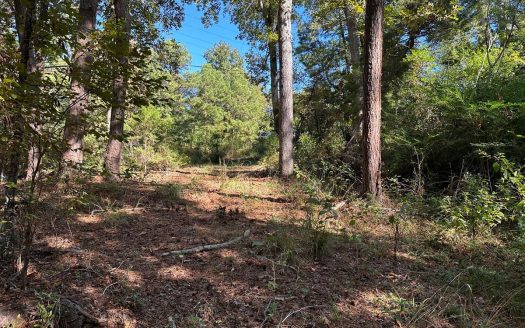 photo for a land for sale property for 42145-11073-Rusk-Texas