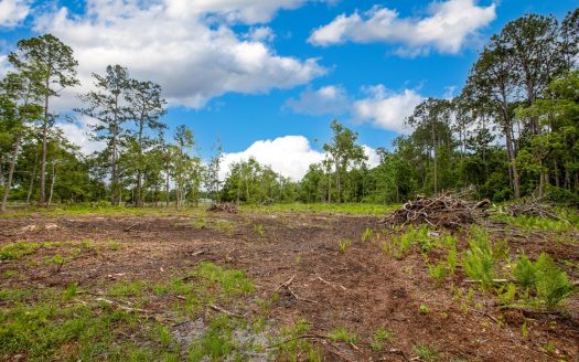 photo for a land for sale property for 09090-51756-Saint Augustine-Florida