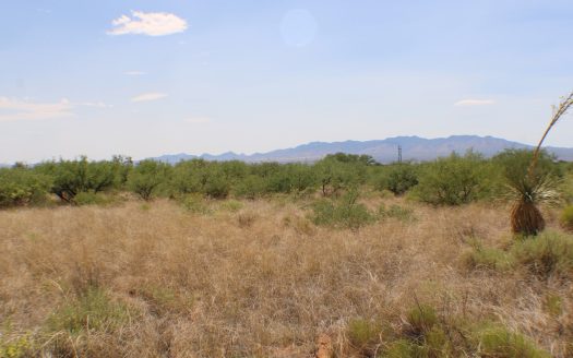 photo for a land for sale property for 02034-13680-Saint David-Arizona