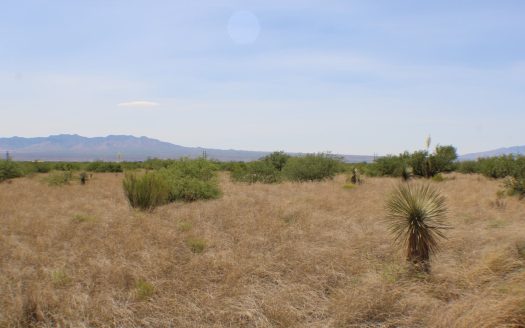 photo for a land for sale property for 02034-13684-Saint David-Arizona