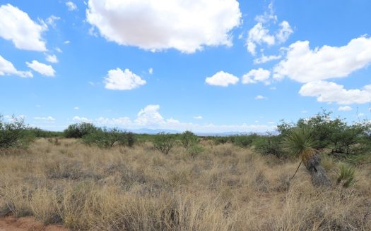 photo for a land for sale property for 02034-16308-Saint David-Arizona