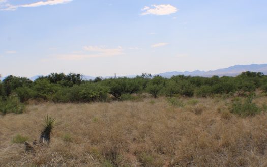 photo for a land for sale property for 02034-16444-Saint David-Arizona