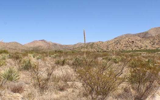 photo for a land for sale property for 02034-19543-Saint David-Arizona
