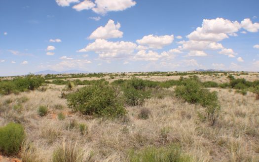 photo for a land for sale property for 02034-23647-Saint David-Arizona