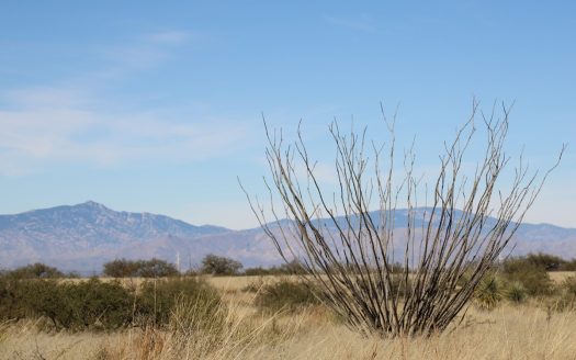 photo for a land for sale property for 02034-28669-Saint David-Arizona