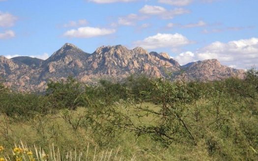 photo for a land for sale property for 02034-28882-Saint David-Arizona