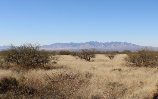 photo for a land for sale property for 02034-29089-Saint David-Arizona