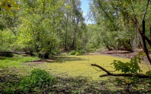 photo for a land for sale property for 23042-40558-Saint Gabriel-Louisiana