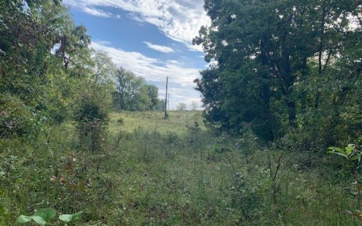 photo for a land for sale property for 03098-71180-Saint Joe-Arkansas