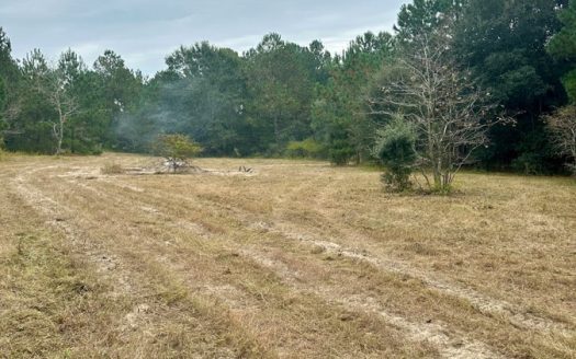 photo for a land for sale property for 39024-23085-Salley-South Carolina