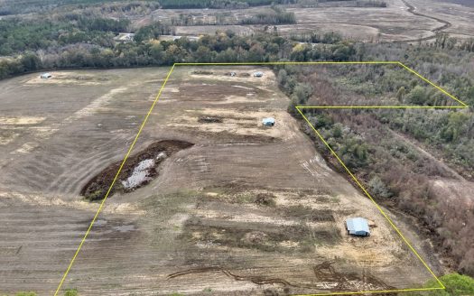 photo for a land for sale property for 01030-40523-Samson-Alabama