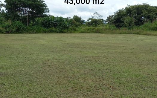 photo for a land for sale property for 60003-21054-San Carlos-Panama