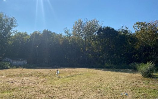 photo for a land for sale property for 41060-05264-Savannah-Tennessee